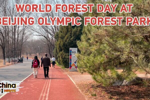 Celebrating World Forest Day at Beijing Olympic Forest Park: An Urban Biodiversity Haven Celebrating World Forest Day at Beijing Olympic Forest Park: An Urban Biodiversity Haven video poster