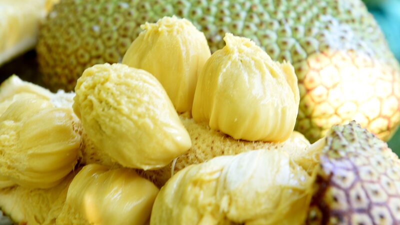 Cempedak_Harvest_Season_Brightens_Hainan_s_Orchards_in_August