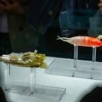 Centuries-Old Ivory Vegetables Draw Crowds at Henan Museum