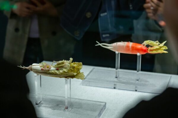 Centuries-Old Ivory Vegetables Draw Crowds at Henan Museum Centuries-Old Ivory Vegetables Draw Crowds at Henan Museum