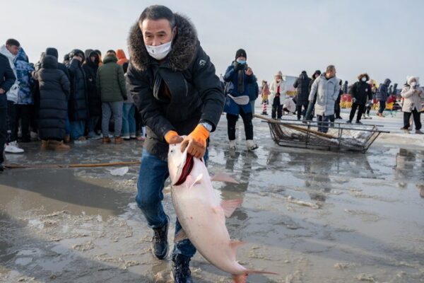 Chagan Lake’s Winter Fishing Festival Thrills Thousands in Jilin Province Chagan_Lake_s_Winter_Fishing_Festival_Thrills_Thousands_in_Jilin_Province