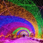 Changchun_Ice_and_Snow_New_World_Opens_for_27th_Year_in_Northeast_China_poster - Khabar Asia Changchun Ice and Snow New World Opens for 27th Year in Northeast China video poster