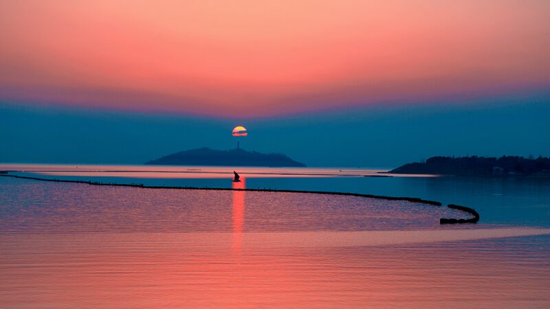 Chaohu_Wetland_Restoration_Project_Recognized_by_UN_Ecosystem_Initiative - Khabar Asia Chaohu Wetland Restoration Project Recognized by UN Ecosystem Initiative