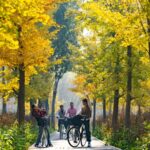 Chaoyang_District__Beijing_s_Urban_Oasis_of_Greenery_and_Tranquility
