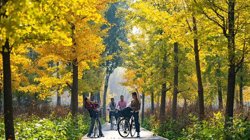 Chaoyang_District__Beijing_s_Urban_Oasis_of_Greenery_and_Tranquility - Khabar Asia Chaoyang_District__Beijing_s_Urban_Oasis_of_Greenery_and_Tranquility