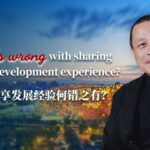Charles Liu Defends China's Sharing of Development Experience Amid Western Criticism video poster