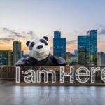 Chengdu: A Harmonious Blend of Tradition and Modernity in Southwest China video poster