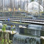 Chengdu Unveils Qilong Reclaimed Water Wetland Park, a Sustainable Urban Oasis