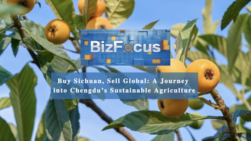 Chengdu_s_Agricultural_Boom__From_Sichuan_Fields_to_Global_Markets_poster - Khabar Asia Chengdu_s_Agricultural_Boom__From_Sichuan_Fields_to_Global_Markets video poster