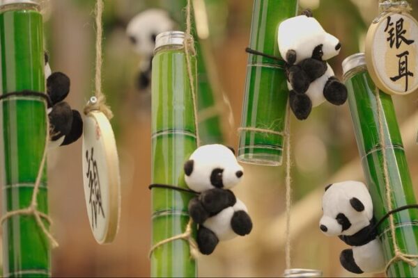Chengdu’s Dual Charm: The Fiery Spice of Hot Pot and the Tranquility of Tea Chengdu_s_Dual_Charm__The_Fiery_Spice_of_Hot_Pot_and_the_Tranquility_of_Tea