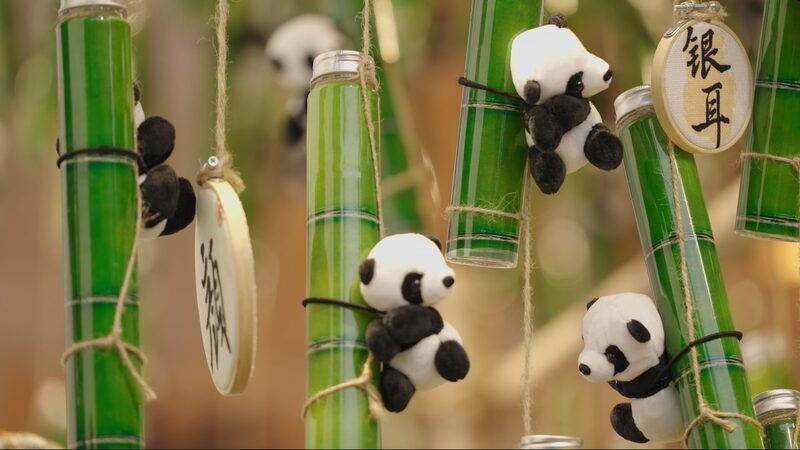 Chengdu_s_Dual_Charm__The_Fiery_Spice_of_Hot_Pot_and_the_Tranquility_of_Tea