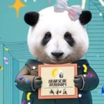 Chengdu's Beloved Panda Hua Hua Becomes Honorary Tourism Chief
