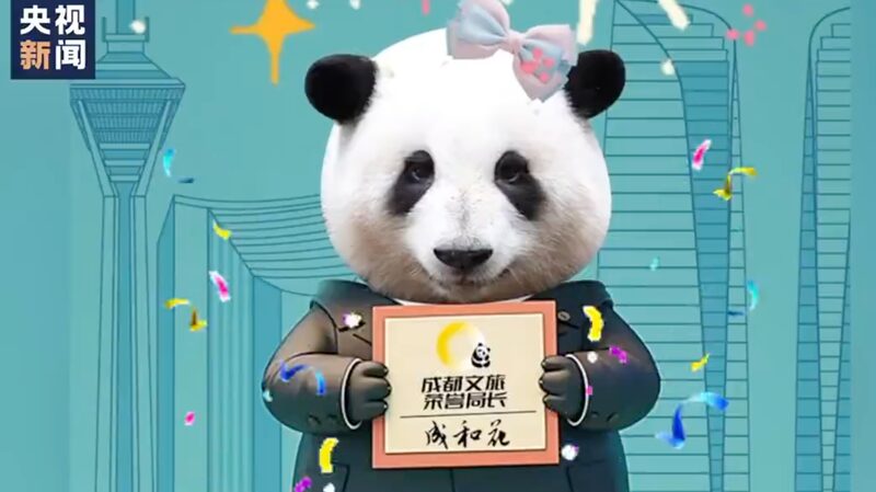 Chengdu's Beloved Panda Hua Hua Becomes Honorary Tourism Chief