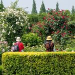 Chengdus_Heidis_Mama_Cultivates_Floral_Success_Becomes_Horticultural_Expo_Ambassador - Khabar Asia Chengdu's 'Heidi's Mama' Cultivates Floral Success, Becomes Horticultural Expo Ambassador