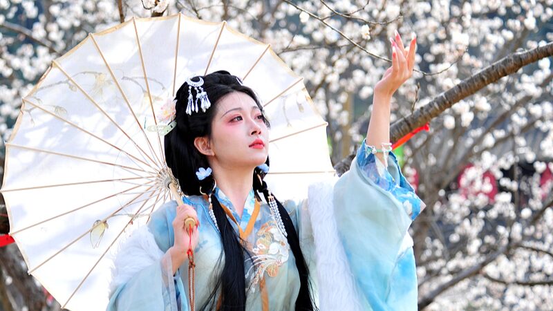 Cherry Blossoms Create Enchanting Corridor in Yichang's Shangyang Village
