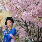 Cherry Blossoms in Full Bloom: Springtime Splendor at Nanjing's Xuanwu Lake Park
