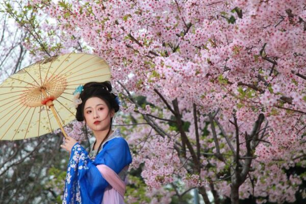Cherry Blossoms in Full Bloom: Springtime Splendor at Nanjing’s Xuanwu Lake Park Cherry Blossoms in Full Bloom: Springtime Splendor at Nanjing's Xuanwu Lake Park