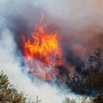 Chilean Officials Accused of Deliberately Starting Deadly Wildfires