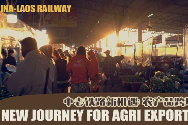 China-Laos Railway Opens New Pathways for Lao Agricultural Exports China-Laos Railway Opens New Pathways for Lao Agricultural Exports video poster