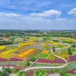 China_Accelerates_Ambitious_Green_Transition_with_New_Environmental_Guidelines
