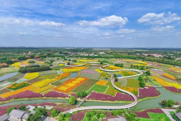 China Accelerates Ambitious Green Transition with New Environmental Guidelines China_Accelerates_Ambitious_Green_Transition_with_New_Environmental_Guidelines