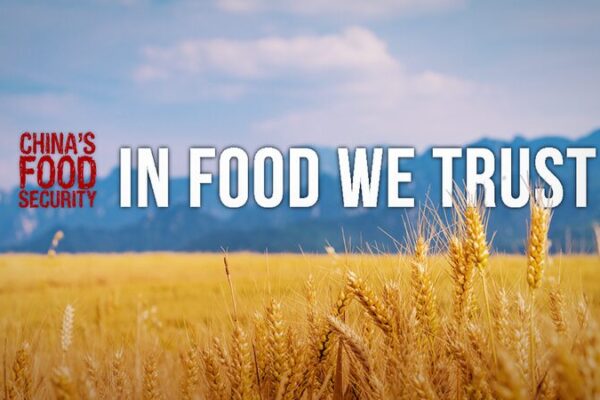 China Achieves Record Grain Harvest: Feeding 1.4 Billion Through Innovation China Achieves Record Grain Harvest: Feeding 1.4 Billion Through Innovation video poster