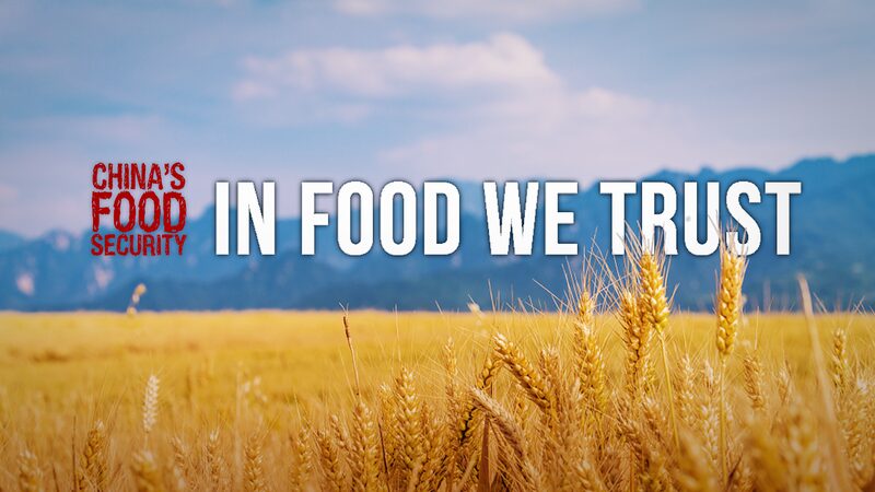China_Achieves_Record_Grain_Harvest_Feeding_14_Billion_Through_Innovation_poster - Khabar Asia China Achieves Record Grain Harvest: Feeding 1.4 Billion Through Innovation video poster