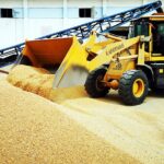China_Achieves_Record_Summer_Grain_Harvest_in_2024_with_Output_Up_2_5_ - Khabar Asia China_Achieves_Record_Summer_Grain_Harvest_in_2024_with_Output_Up_2_5_