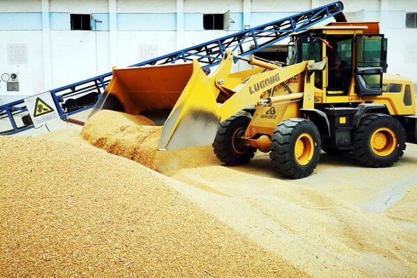 China Achieves Record Summer Grain Harvest in 2024 with Output Up 2.5% China_Achieves_Record_Summer_Grain_Harvest_in_2024_with_Output_Up_2_5_