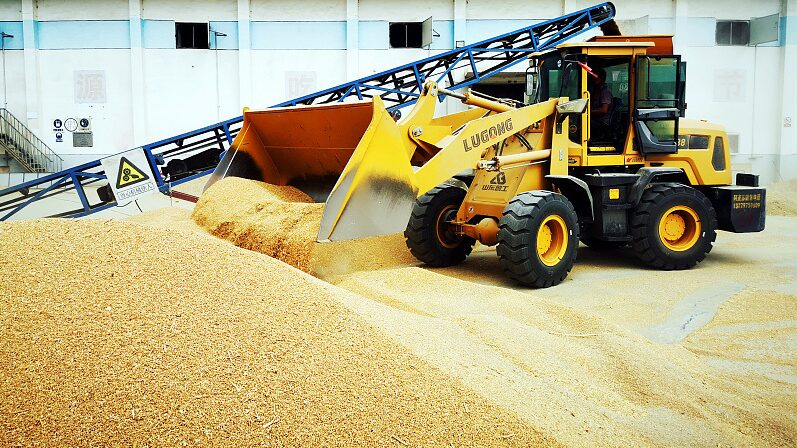 China_Achieves_Record_Summer_Grain_Harvest_in_2024_with_Output_Up_2_5_ - Khabar Asia China_Achieves_Record_Summer_Grain_Harvest_in_2024_with_Output_Up_2_5_