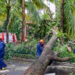 China_Addresses_Post_Typhoon_Yagi_Reconstruction_Efforts video poster