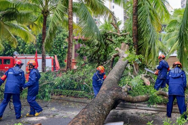 China_Addresses_Post_Typhoon_Yagi_Reconstruction_Efforts video poster