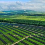 China_Adopts_Resolution_to_Enhance_Green__Low_Carbon_Development