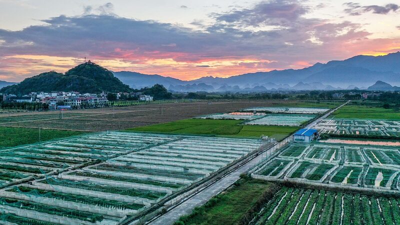 China Advances Circular Agriculture with $1 Billion Investment in Pilot Programs