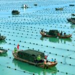 China_Advances_Deep_Sea_Aquaculture_to_Ensure_National_Food_Security