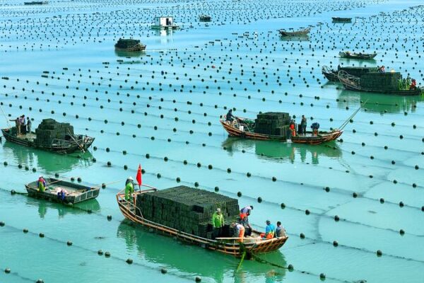 China_Advances_Deep_Sea_Aquaculture_to_Ensure_National_Food_Security