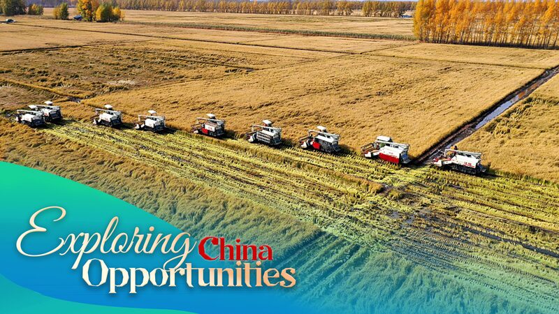 China Advances High-Standard Farmland with Cutting-Edge Technology