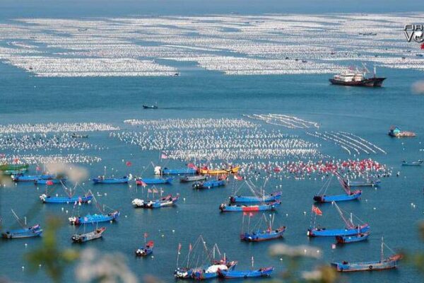 China Advocates Maritime Community for Global Ocean Governance China Advocates Maritime Community for Global Ocean Governance