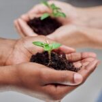 China_Africa_Green_Partnership_Energizes_Shared_Sustainable_Future