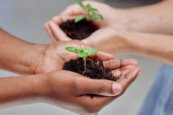 China_Africa_Green_Partnership_Energizes_Shared_Sustainable_Future