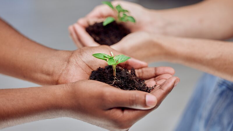 China_Africa_Green_Partnership_Energizes_Shared_Sustainable_Future - Khabar Asia China_Africa_Green_Partnership_Energizes_Shared_Sustainable_Future