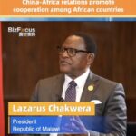 China_Africa_Ties_Boost_Cooperation__Malawian_President video poster
