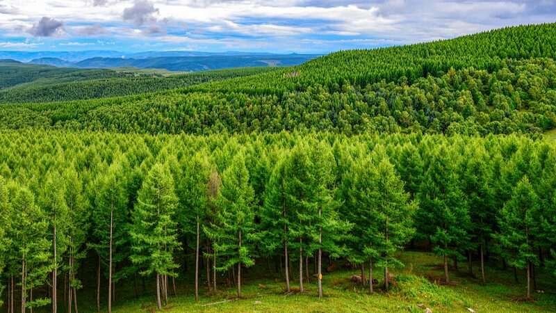 China_Aims_to_Green_67_Million_Hectares_of_Land_in_2024 - Khabar Asia China Aims to Green 6.7 Million Hectares of Land in 2024