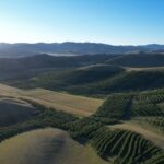 China Allocates $1.7 Billion to Combat Desertification with Three-North Shelterbelt Forest Program