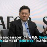 China Calls for International Cooperation in Africa, Rebukes 'Debt Trap' Claims video poster