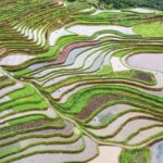 China Celebrates National Land Day: A Determined Effort to Protect the Land