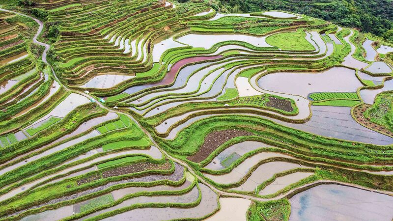 China_Celebrates_National_Land_Day_A_Determined_Effort_to_Protect_the_Land - Khabar Asia China Celebrates National Land Day: A Determined Effort to Protect the Land