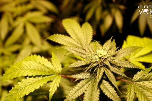 China Challenges U.S. Drug Designation Amid Opioid Crisis