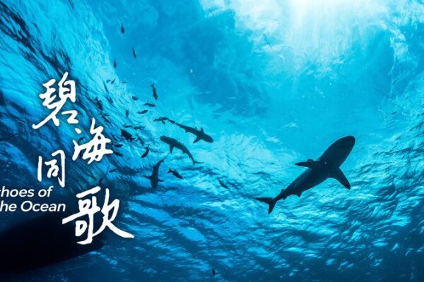 China Champions Marine Conservation: The Symphony Beneath the Waves China_Champions_Marine_Conservation__The_Symphony_Beneath_the_Waves video poster