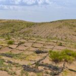 China_Completes_3_046_km_Green_Belt_Encircling_Taklimakan_Desert